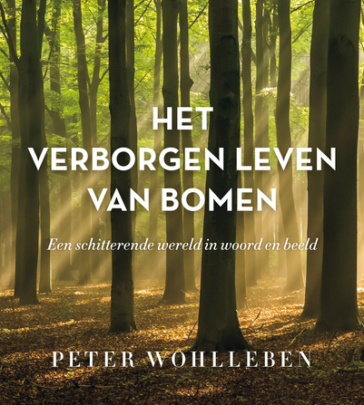 Het verborgen leven van bomen – Geïillustreerde editie