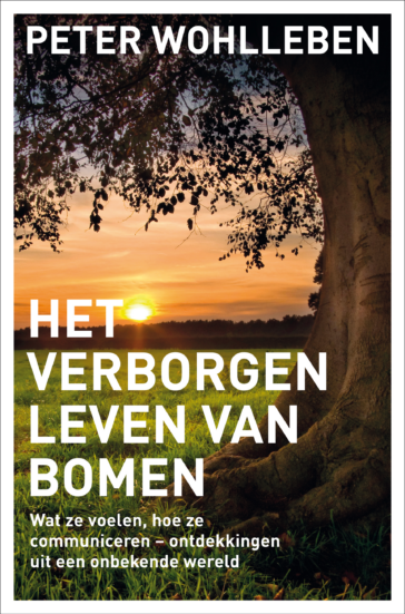 Het verborgen leven van bomen