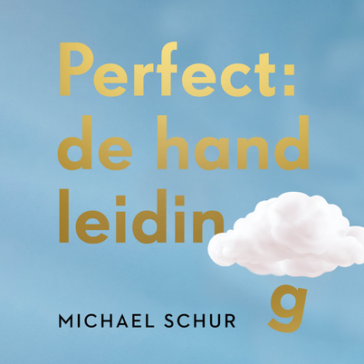 Perfect: de handleiding