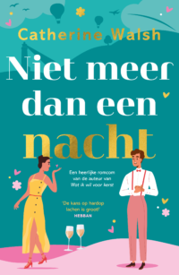 Niet meer dan een nacht - Catherine Walsh
