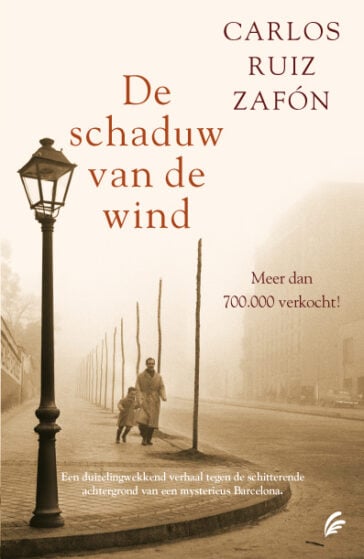 De schaduw van de wind