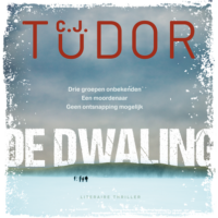De dwaling - C.J. Tudor