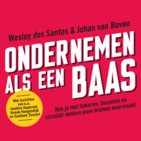 Ondernemen als een baas - 