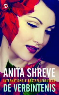 De verbintenis - Anita Shreve