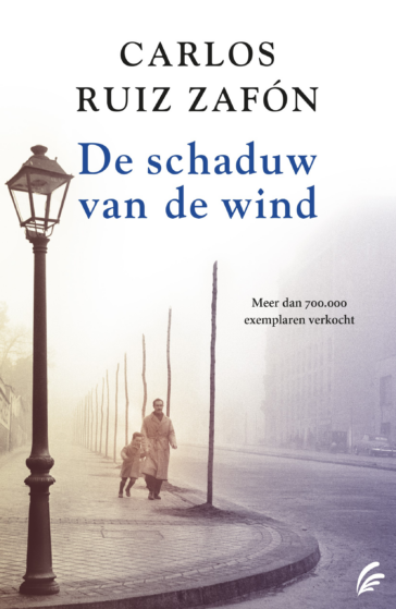 De schaduw van de wind