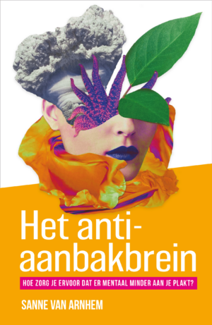 Het anti-aanbakbrein - Sanne van Arnhem