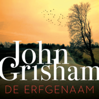 De erfgenaam - John Grisham
