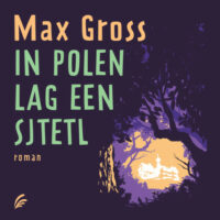 In Polen lag een sjtetl - Max Gross