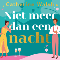 Niet meer dan een nacht - Catherine Walsh