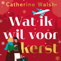 Wat ik wil voor kerst - Catherine Walsh