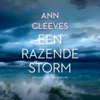 Een razende storm - Ann Cleeves