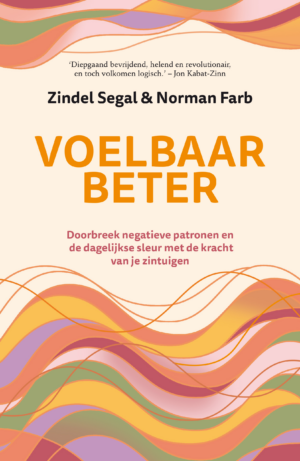 Voelbaar beter - Norman Farb & Zindel Segal