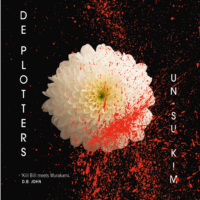 De plotters - Un-Su Kim