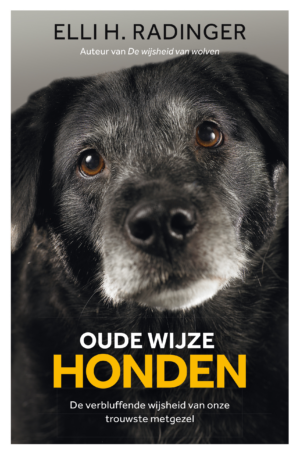 Oude wijze honden - Elli Radinger